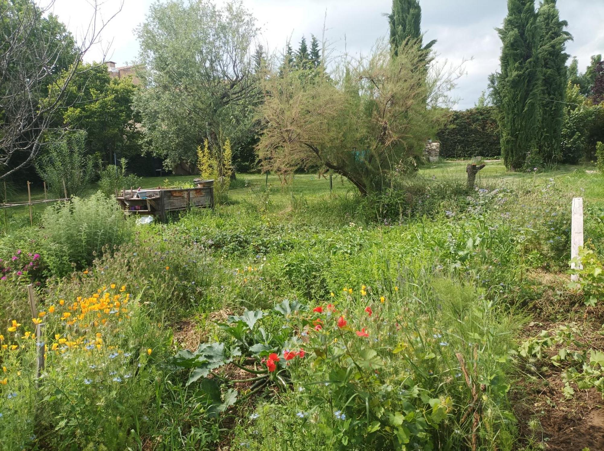 Campagne De Pre Grand Panzió Saint-Étienne-les-Orgues Kültér fotó